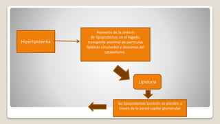 Hiperlipidemia
Aumento de la síntesis
de lipoproteínas en el hígado,
transporte anormal de partículas
lipídicas circulantes y descenso del
catabolismo .
Lipiduria
las lipoproteínas también se pierden a
través de la pared capilar glomerular
 