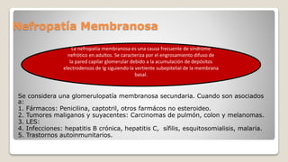 Nefropatía Membranosa
Se considera una glomerulopatía membranosa secundaria. Cuando son asociados
a:
1. Fármacos: Penicilina, captotril, otros farmácos no esteroideo.
2. Tumores maliganos y suyacentes: Carcinomas de pulmón, colon y melanomas.
3. LES:
4. Infecciones: hepatitis B crónica, hepatitis C, sífilis, esquitosomialisis, malaria.
5. Trastornos autoinmunitarios.
La nefropatía membranosa es una causa frecuente de síndrome
nefrótico en adultos. Se caracteriza por el engrosamiento difuso de
la pared capilar glomerular debido a la acumulación de depósitos
electrodensos de Ig siguiendo la vertiente subepitelial de la membrana
basal.
 