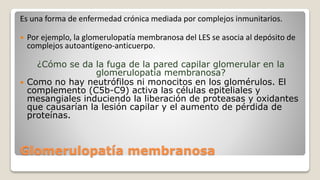 Glomerulopatía membranosa
Es una forma de enfermedad crónica mediada por complejos inmunitarios.
 Por ejemplo, la glomerulopatía membranosa del LES se asocia al depósito de
complejos autoantígeno-anticuerpo.
¿Cómo se da la fuga de la pared capilar glomerular en la
glomerulopatía membranosa?
 Como no hay neutrófilos ni monocitos en los glomérulos. El
complemento (C5b-C9) activa las células epiteliales y
mesangiales induciendo la liberación de proteasas y oxidantes
que causarían la lesión capilar y el aumento de pérdida de
proteínas.
 