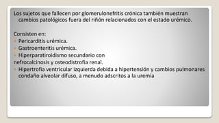 Los sujetos que fallecen por glomerulonefritis crónica también muestran
cambios patológicos fuera del riñón relacionados con el estado urémico.
Consisten en:
 Pericarditis urémica.
 Gastroenteritis urémica.
 Hiperparatiroidismo secundario con
nefrocalcinosis y osteodistrofia renal.
 Hipertrofia ventricular izquierda debida a hipertensión y cambios pulmonares
condaño alveolar difuso, a menudo adscritos a la uremia
 