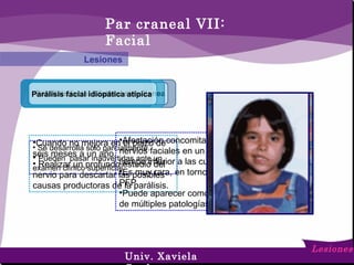 Par craneal VII:
Facial
Lesiones
Lesiones
Parálisis facial frustradaParálisis facial bilateral simultaneaParálisis facial idiopática atípica
• Se desarrolla sólo parcialmente.
• Pueden pasar inadvertidas ante un
examen clínico superficial.
•Cuando no mejora en el plazo de
seis meses a un año.
• Realizar un profundo estudio del
nervio para descartar las posibles
causas productoras de la parálisis.
•Afectación concomitante de ambos
nervios faciales en un espacio de
tiempo inferior a las cuatro semanas.
•Es muy rara, en torno al 1% de las
PFP.
•Puede aparecer como manifestación
de múltiples patologías.
Univ. Xaviela
 