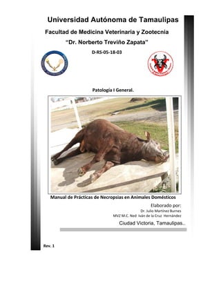 Universidad Autónoma de Tamaulipas
Facultad de Medicina Veterinaria y Zootecnia
“Dr. Norberto Treviño Zapata”
D‐RS‐05‐18‐03 
 
 
 
 
Ciudad Victoria, Tamaulipas.. 
                       
 
             Rev. 1 
 
Patología I General. 
 
Manual de Prácticas de Necropsias en Animales Domésticos 
Elaborado por:  
Dr. Julio Martínez Burnes   
 MVZ M.C. Ned  Iván de la Cruz  Hernández  
 
 