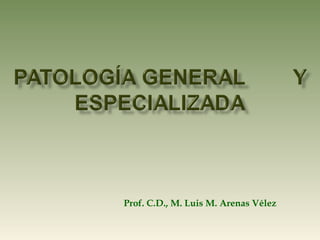 Prof. C.D., M. Luis M. Arenas Vélez
 