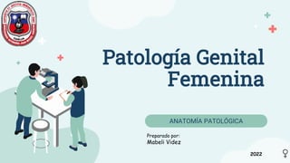 Patología Genital
Femenina
ANATOMÍA PATOLÓGICA
Preparado por:
Mabeli Videz
2022
 