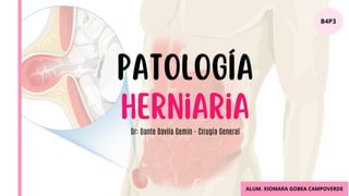 Comprehensive Overview of Hernia Pathology and Abdominal Wall Anatomy | PDF