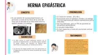 Comprehensive Overview of Hernia Pathology and Abdominal Wall Anatomy | PDF