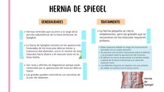 Comprehensive Overview of Hernia Pathology and Abdominal Wall Anatomy | PDF