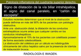 Patología inflamatoria del cuadrante superior derecho.

Signo de dilatación de la vía biliar intrahépatica,
el signo del canal paralelo, en “cañón de
escopeta”.
Estudios recientes determinan que el nivel de la obstrucción
puede definirse en más del 90% de los pacientes con patología
obstructiva.
Ante una obstrucción distal, la dilatación de los conductos
extrahepáticos ocurre antes que cualquier cambio en los
conductos intrahepáticos.
Aproximadamente el 15% de los pacientes con colelitiasis poseen
de forma asociada coledocolitiasis.
La obstrucción del colédoco por un cálculo es indistinguible
clínicamente del cólico hepático salvo por la presencia de ictericia
de instauración brusca.

RADIOLOGÍA E IMAGEN.

 