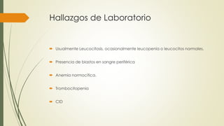 Hallazgos de Laboratorio
 Usualmente Leucocitosis, ocasionalmente leucopenia o leucocitos normales.
 Presencia de blastos en sangre periférica
 Anemia normocítica.
 Trombocitopenia
 CID
 