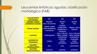 Leucemias linfáticas agudas: clasificación
morfológica (FAB)
 