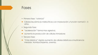 Fases
• Primera fase: “crónica”
 Células leucémicas mielocíticas con maduración y función normal 3 – 5
años.
• Segunda fase:
 “aceleración” forma mas agresiva,
 aumenta la producción de células inmaduras
• Tercera fase:
 “Crisis blástica” rápido aumento de células blásticas e insuficiencia
medular, trombocitopenia, anemia.
 