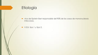 Etiología
 virus de Epstein-Barr responsable del 90% de los casos de mononucleosis
infecciosa.
 V.E.B. tipo 1 y tipo 2.
 