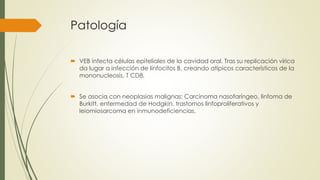 Patología
 VEB infecta células epiteliales de la cavidad oral. Tras su replicación vírica
da lugar a infección de linfocitos B, creando atípicos característicos de la
mononucleosis, T CD8.
 Se asocia con neoplasias malignas: Carcinoma nasofaríngeo, linfoma de
Burkitt, enfermedad de Hodgkin, trastornos linfoproliferativos y
leiomiosarcoma en inmunodeficiencias.
 