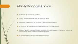 Manifestaciones Clínica
 El periodo de incubación es de 30.
 50 días (adolescentes), puede ser menor en niños.
 La mayoría de los casos en lactantes y niños son asintomáticos.
 El comienzo de la enfermedad suele ser insidioso y vago en adultos.
 Malestar general, faringitis, náuseas, dolor abdominal y mialgia (1-2 semanas). El dolor de
garganta y la fiebre aumentan de modo gradual.
 El agrandamiento del bazo puede ser muy rápido.
 