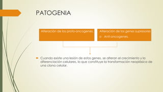PATOGENIA
Alteración de los proto-oncogenes. Alteración de los genes supresores
o Anti-oncogenes.
 Cuando existe una lesión de estos genes, se alteran el crecimiento y la
diferenciación celulares, lo que constituye la transformación neoplásica de
una clona celular.
 