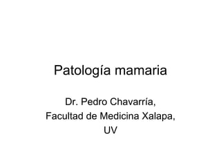 Patología mamaria

    Dr. Pedro Chavarría,
Facultad de Medicina Xalapa,
            UV
 