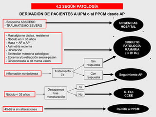 4.2 SEGÚN PATOLOGÍA
DERIVACIÓN DE PACIENTES A UPM o al PPCM desde AP
URGENCIAS
HOSPITAL
CIRCUITO
PATOLOGÍA
MAMARIA
( = IC Rx)
- Sospecha ABSCESO
- TRAUMATISMO SEVERO
- Mastalgia no cíclica, resistente
- Nódulo en > 35 años
- Masa + AF o AP
- Asimetría reciente
- Ulceración
- Secreción mamaria patológica
- Eccema y/o retracción areola-pezón
- Ginecomastia o alt mama varón
Inflamación no dolorosa
Tratamiento
7d
Sin
respuesta
Con
respuesta
45-69 a sin alteraciones Remitir a PPCM
Nódulo < 35 años
Desaparece
tras
mensturación
Si
No
Seguimiento AP
C. Esp
CCEE
 