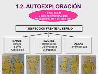 1.2. AUTOEXPLORACIÓN
10 min al mes
2 días postmenstruación
Menopausia: dia 1 de cada mes
1. INSPECCIÓN FRENTE AL ESPEJO
MAMAS
Tamaño
- Forma
- Aspecto piel
PEZONES
- Retracciones
- Deformidades
- Secreciones
AXILAS
- Prominencias
 