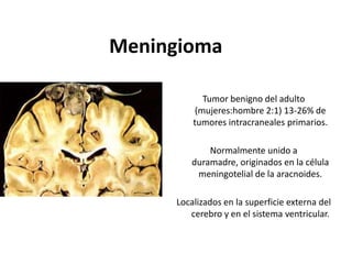 Meningioma

            Tumor benigno del adulto
          (mujeres:hombre 2:1) 13-26% de
         tumores intracraneales primarios.

            Normalmente unido a
        duramadre, originados en la célula
         meningotelial de la aracnoides.

     Localizados en la superficie externa del
        cerebro y en el sistema ventricular.
 