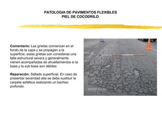 Comentario:  Las grietas comienzan en el fondo de la capa y se propagan a la superficie, estas grietas son consideras una falla estructural severa y generalmente vienen acompañadas de ahuellamientos si la base y la sub base son débiles  Reparación:  Sellado superficial. En caso de presentar severidad alta se debe sustituir la carpeta asfáltica realizando un bacheo profundo. PATOLOGIA DE PAVIMENTOS FLEXIBLES  PIEL DE COCODRILO  