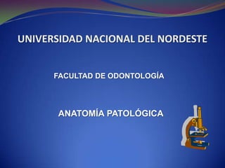 UNIVERSIDAD NACIONAL DEL NORDESTE FACULTAD DE ODONTOLOGÍA  ANATOMÍA PATOLÓGICA 