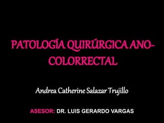 Andrea Catherine Salazar Trujillo 
DR. LUIS GERARDO VARGAS 
 