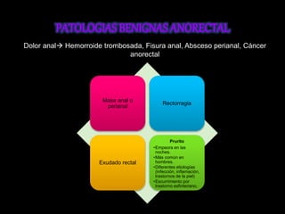 Dolor anal Hemorroide trombosada, Fisura anal, Absceso perianal, Cáncer 
anorectal 
Masa anal o 
perianal 
Rectorragia 
Exudado rectal 
Prurito 
•Empeora en las 
noches. 
•Más común en 
hombres. 
•Diferentes etiologías 
(infección, inflamación, 
trastornos de la piel) 
•Escurrimiento por 
trastorno esfinteriano. 
 