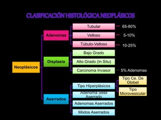 Neoplásicos 
Adenomas 
Tubular 65-80% 
Velloso 5-10% 
Túbulo-Velloso 10-25% 
Displasia 
Bajo Grado 
Alto Grado (In Situ) 
Carcinoma Invasor 5% Adenomas 
Aserrados 
Tipo Hiperplásicos 
Tipo Ce. De 
Globet 
Tipo 
Adenoma Sesil Microvesicular 
Aserrado 
Adenomas Aserrados 
Mixtos Aserrados 
 