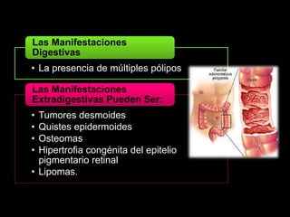 Las Manifestaciones 
Digestivas 
• La presencia de múltiples pólipos 
Las Manifestaciones 
Extradigestivas Pueden Ser: 
• Tumores desmoides 
• Quistes epidermoides 
• Osteomas 
• Hipertrofia congénita del epitelio 
pigmentario retinal 
• Lipomas. 
 