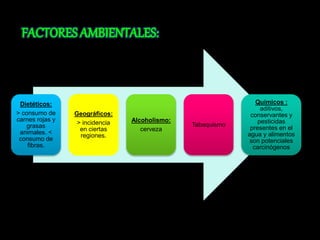 Dietéticos: 
> consumo de 
carnes rojas y 
grasas 
animales. < 
consumo de 
fibras. 
Geográficos: 
> incidencia 
en ciertas 
regiones. 
Alcoholismo: 
cerveza 
Tabaquismo 
Químicos : 
aditivos, 
conservantes y 
pesticidas 
presentes en el 
agua y alimentos 
son potenciales 
carcinógenos 
 