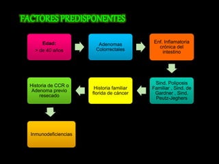 Edad: 
> de 40 años 
Adenomas 
Colorrectales 
Enf. Inflamatoria 
crónica del 
intestino 
Sind. Poliposis 
Familiar , Sind. de 
Gardner , Sind. 
Peutz-Jeghers 
Historia familiar 
florida de cáncer 
Historia de CCR o 
Adenoma previo 
resecado 
Inmunodeficiencias 
 
