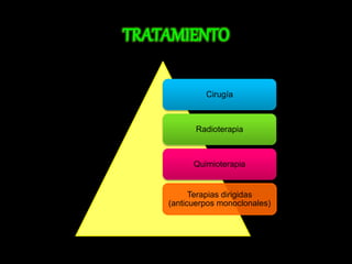 Cirugía 
Radioterapia 
Quimioterapia 
Terapias dirigidas 
(anticuerpos monoclonales) 
 