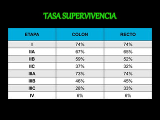 ETAPA COLON RECTO 
I 74% 74% 
IIA 67% 65% 
IIB 59% 52% 
IIC 37% 32% 
IIIA 73% 74% 
IIIB 46% 45% 
IIIC 28% 33% 
IV 6% 6% 
 