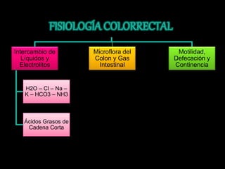 Intercambio de 
Líquidos y 
Electrolitos 
H2O – Cl – Na – 
K – HCO3 – NH3 
Ácidos Grasos de 
Cadena Corta 
Microflora del 
Colon y Gas 
Intestinal 
Motilidad, 
Defecación y 
Continencia 
 