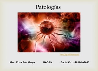 Patologías
Msc. Rosa Ana Vespa UAGRM Santa Cruz- Bolivia-2015
FreeDigitalPhotos.net
 