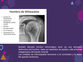 Patologías-de-miembro-superior.pdf