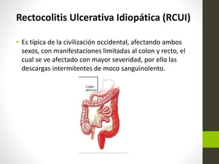 Patologías de colon y recto. | PPTX
