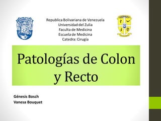 Patologías de Colon 
y Recto 
Génesis Bosch 
Vanesa Bouquet 
 