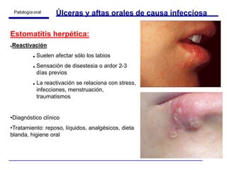 Labio Reposo Patologías de la cavidad oral.ppt