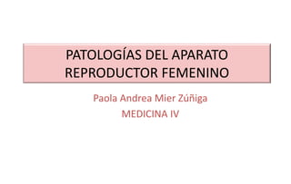 PATOLOGÍAS DEL APARATO
REPRODUCTOR FEMENINO
Paola Andrea Mier Zúñiga
MEDICINA IV
 