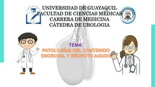 TEMA:
UNIVERSIDAD DE GUAYAQUIL
FACULTAD DE CIENCIAS MÉDICAS
CARRERA DE MEDICINA
CÁTEDRA DE UROLOGIA
 