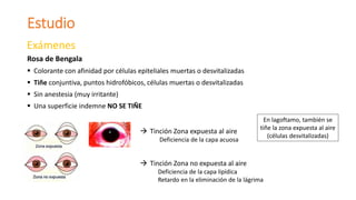 Estudio
Exámenes
Rosa de Bengala
 Colorante con afinidad por células epiteliales muertas o desvitalizadas
 Tiñe conjuntiva, puntos hidrofóbicos, células muertas o desvitalizadas
 Sin anestesia (muy irritante)
 Una superficie indemne NO SE TIÑE
 Tinción Zona expuesta al aire
Deficiencia de la capa acuosa
 Tinción Zona no expuesta al aire
Deficiencia de la capa lipídica
Retardo en la eliminación de la lágrima
En lagoftamo, también se
tiñe la zona expuesta al aire
(células desvitalizadas)
 