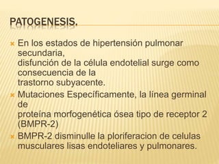 PATOGENESIS. 
 En los estados de hipertensión pulmonar 
secundaria, 
disfunción de la célula endotelial surge como 
consecuencia de la 
trastorno subyacente. 
 Mutaciones Específicamente, la línea germinal 
de 
proteína morfogenética ósea tipo de receptor 2 
(BMPR-2) 
 BMPR-2 disminulle la ploriferacion de celulas 
musculares lisas endoteliares y pulmonares. 
 