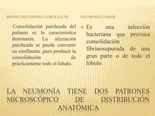 BRONCONEUMONÍA LOBULILLAR NEUMONÍA LOBAR 
Consolidación parcheada del 
pulmón es la característica 
dominante. La afectación 
parcheada se puede convertir 
en confluente ,para producir la 
consolidación de 
prácticamente todo el lóbulo. 
 Es una infección 
bacteriana que provoca 
consolidación 
fibrinosupurada de una 
gran parte o de todo el 
lóbulo. 
LA NEUMONÍA TIENE DOS PATRONES 
MICROSCÓPICO DE DISTRIBUCIÓN 
ANATÓMICA 
 