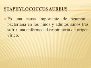 STAPHYLOCOCCUS AUREUS 
 Es una causa importante de neumonia 
bacteriana en los niños y adultos sanos tras 
sufrir una enfermedad respiratoria de origen 
virico. 
 