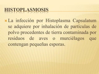 HISTOPLASMOSIS 
La infección por Histoplasma Capsulatum 
se adquiere por inhalación de partículas de 
polvo procedentes de tierra contaminada por 
residuos de aves o murciélagos que 
contengan pequeñas esporas. 
 