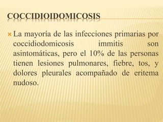 COCCIDIOIDOMICOSIS 
La mayoría de las infecciones primarias por 
coccidiodomicosis immitis son 
asintomáticas, pero el 10% de las personas 
tienen lesiones pulmonares, fiebre, tos, y 
dolores pleurales acompañado de eritema 
nudoso. 
 