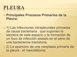 PLEURA 
 Principales Procesos Primarios de la 
Pleura: 
 1) Las infecciones intrapleurales primarias 
de causa bacteriana , que suponen la 
siembra de este espacio y la formación de 
un foco de infección aislado en el seno de 
una bacteriemia transitoria. 
 2) La aparición de una neoplasia primaria de 
la pleura : el mesotelioma. 
 