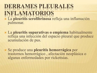 DERRAMES PLEURALES 
INFLAMATORIOS 
 La pleuritis serofibrinosa refleja una inflamación 
pulmonar. 
 La pleuritis supurativas o empiema habitualmente 
refleja una infección del espacio pleural que produce 
acumulación de pus. 
 Se produce una pleuritis hemorrágica por 
trastornos hemorrágico , afectación neoplásica o 
algunas enfermedades por rickettsias. 
 