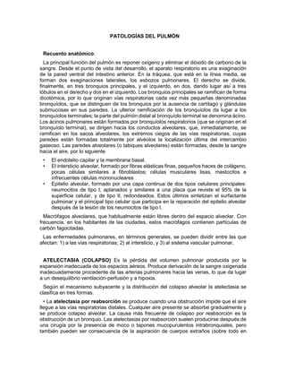 PATOLOGÍAS DEL PULMÓN
Recuento anatómico:
La principal función del pulmón es reponer oxígeno y eliminar el dióxido de carbono de la
sangre. Desde el punto de vista del desarrollo, el aparato respiratorio es una evaginación
de la pared ventral del intestino anterior. En la tráquea, que está en la línea media, se
forman dos evaginaciones laterales, los esbozos pulmonares. El derecho se divide,
finalmente, en tres bronquios principales, y el izquierdo, en dos, dando lugar así a tres
lóbulos en el derecho y dos en el izquierdo. Los bronquios principales se ramifican de forma
dicotómica, por lo que originan vías respiratorias cada vez más pequeñas denominadas
bronquíolos, que se distinguen de los bronquios por la ausencia de cartílago y glándulas
submucosas en sus paredes. La ulterior ramificación de los bronquíolos da lugar a los
bronquíolos terminales; la parte del pulmón distal al bronquíolo terminal se denomina ácino.
Los ácinos pulmonares están formados por bronquíolos respiratorios (que se originan en el
bronquíolo terminal), se dirigen hacia los conductos alveolares, que, inmediatamente, se
ramifican en los sacos alveolares, los extremos ciegos de las vías respiratorias, cuyas
paredes están formadas totalmente por alvéolos la localización última del intercambio
gaseoso. Las paredes alveolares (o tabiques alveolares) están formadas, desde la sangre
hacia el aire, por lo siguiente
• El endotelio capilar y la membrana basal.
• El intersticio alveolar, formado por fibras elásticas finas, pequeños haces de colágeno,
pocas células similares a fibroblastos; células musculares lisas, mastocitos e
infrecuentes células mononucleares
• Epitelio alveolar, formado por una capa continua de dos tipos celulares principales:
neumocitos de tipo I, aplanados y similares a una placa que reviste el 95% de la
superficie celular, y de tipo II, redondeados. Estos últimos sintetizan el surfactante
pulmonar y el principal tipo celular que participa en la reparación del epitelio alveolar
después de la lesión de los neumocitos de tipo l.
Macrófagos alveolares, que habitualmente están libres dentro del espacio alveolar. Con
frecuencia, en los habitantes de las ciudades, estos macrófagos contienen partículas de
carbón fagocitadas.
Las enfermedades pulmonares, en términos generales, se pueden dividir entre las que
afectan: 1) a las vías respiratorias; 2) al intersticio, y 3) al sistema vascular pulmonar.
ATELECTASIA (COLAPSO) Es la pérdida del volumen pulmonar producida por la
expansión inadecuada de los espacios aéreos. Produce derivación de la sangre oxigenada
inadecuadamente procedente de las arterias pulmonares hacia las venas, lo que da lugar
a un desequilibrio ventilación-perfusión y a hipoxia.
Según el mecanismo subyacente y la distribución del colapso alveolar la atelectasia se
clasifica en tres formas.
• La atelectasia por reabsorción se produce cuando una obstrucción impide que el aire
llegue a las vías respiratorias distales. Cualquier aire presente se absorbe gradualmente y
se produce colapso alveolar. La causa más frecuente de colapso por reabsorción es la
obstrucción de un bronquio. Las atelectasias por reabsorción suelen producirse después de
una cirugía por la presencia de moco o tapones mucopurulentos intrabronquiales, pero
también pueden ser consecuencia de la aspiración de cuerpos extraños (sobre todo en
 